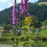 ヴィラ Schloss Berg Kloesterle