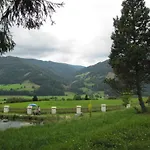 ヴィラ Schloss Berg Kloesterle Zedlitzdorf