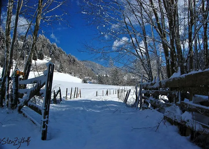 Schloss Berg Kloesterle Willa Zedlitzdorf