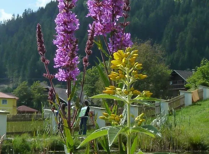 Willa Schloss Berg Kloesterle