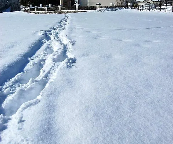 Schloss Berg Kloesterle Willa Zedlitzdorf